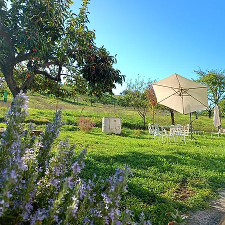 Holiday home Casa Otri *