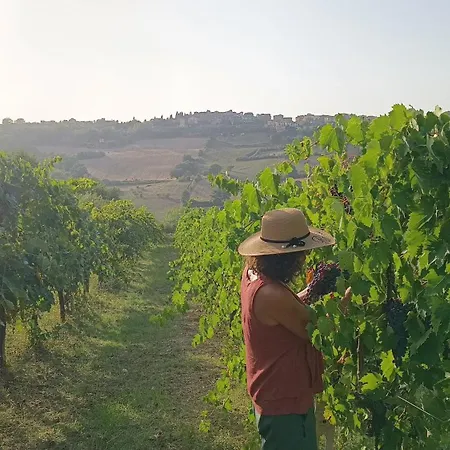 Casa Otri Сasa de vacaciones Otricoli
