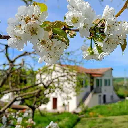 Сasa de vacaciones Casa Otri Otricoli